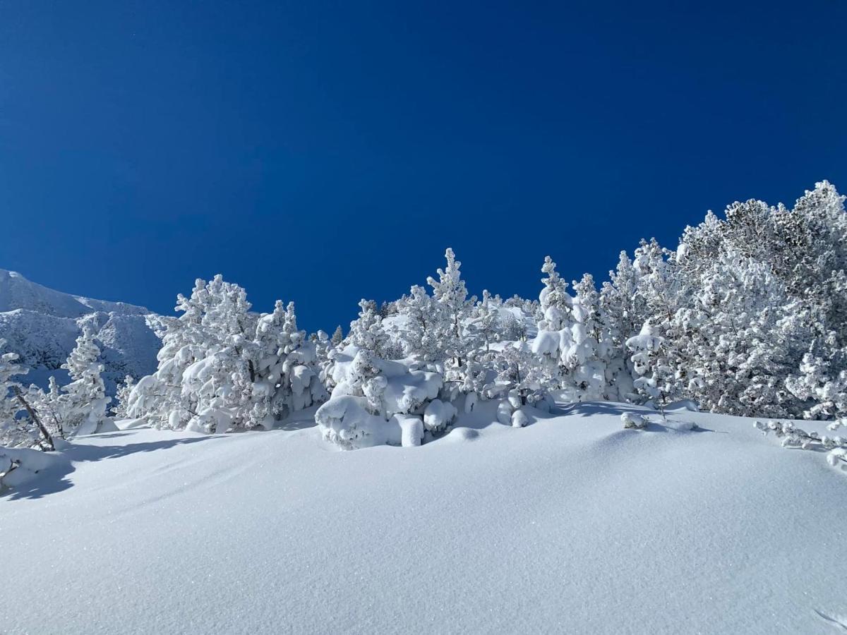 Studio Marmotte Font-Romeu 4 Personnes Avec Balcon Residence Val Soleil Entierement Renove En Juin 2021 Place De Parking & Wifi Gratuit , Draps & Serviettes De Toilettes Non Inclus, Sabanas Y Toallas No Incluidos 外观 照片